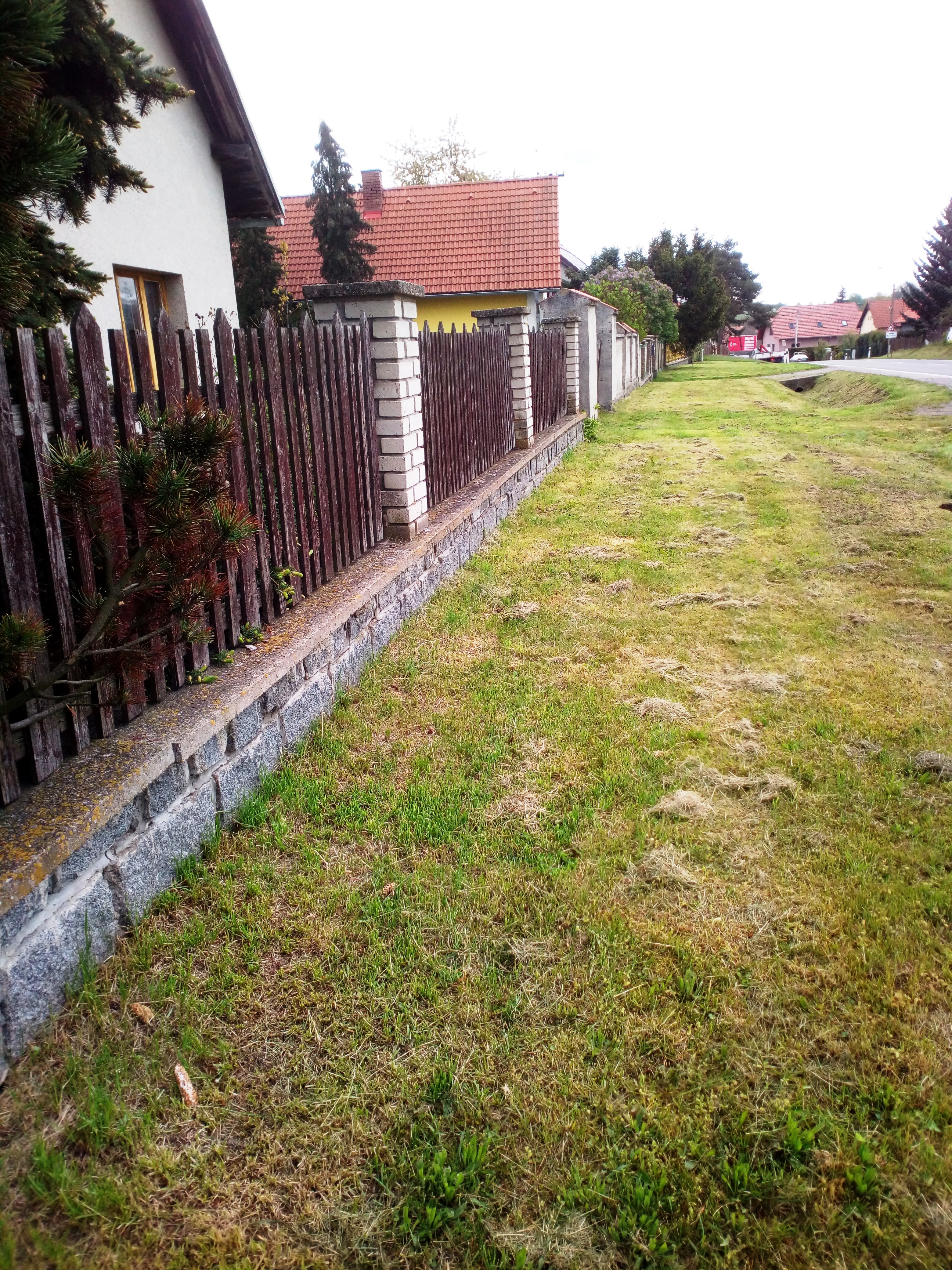 foto.jpg